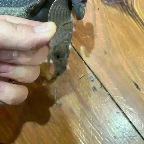 Chaco Vibram Non-Marking Toe Strap Water Sandal Shoes Women’s Green Brown Size 7 - Picture 7 of 12